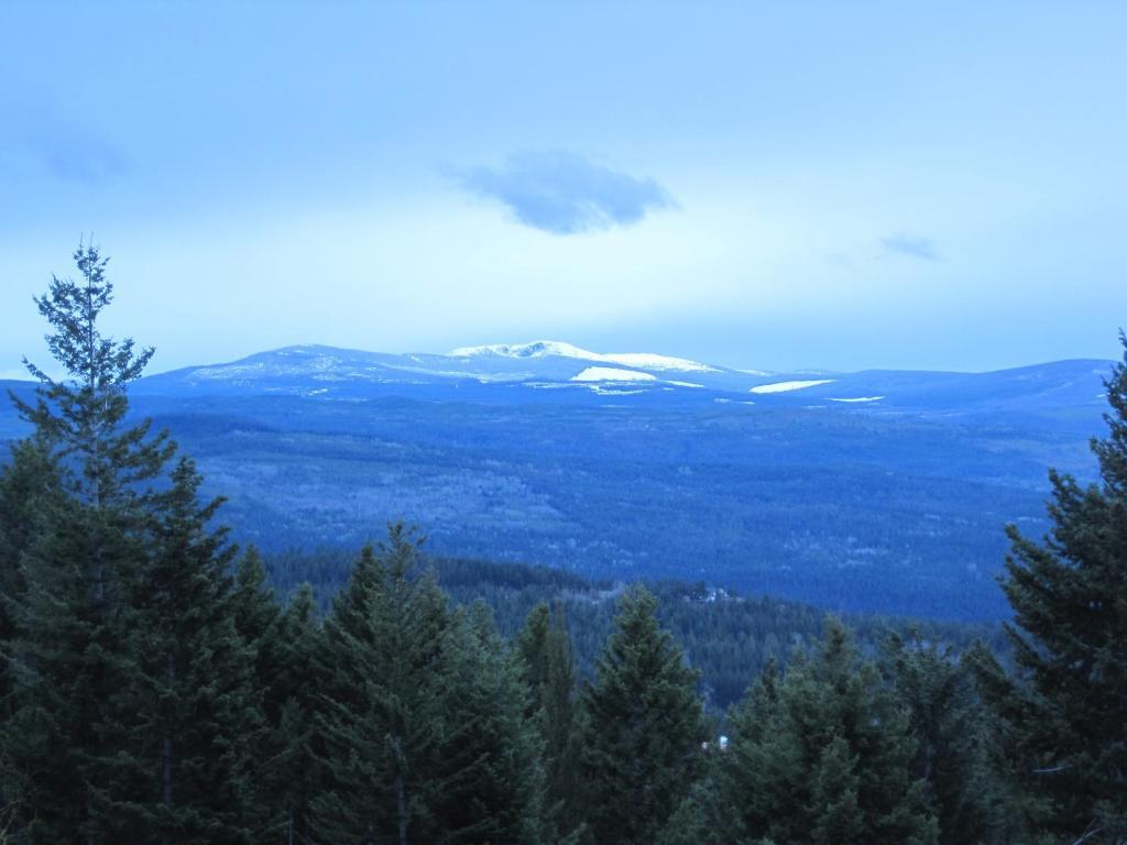 Wild Nature B&B Kelowna Luaran gambar
