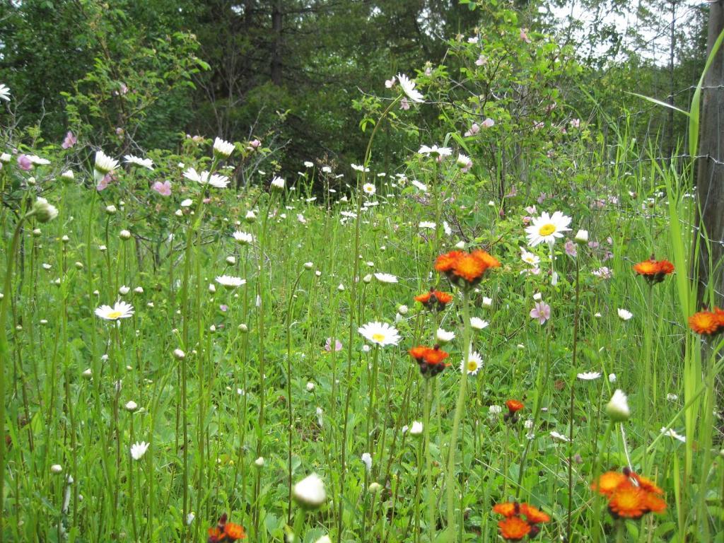 Wild Nature B&B Kelowna Luaran gambar