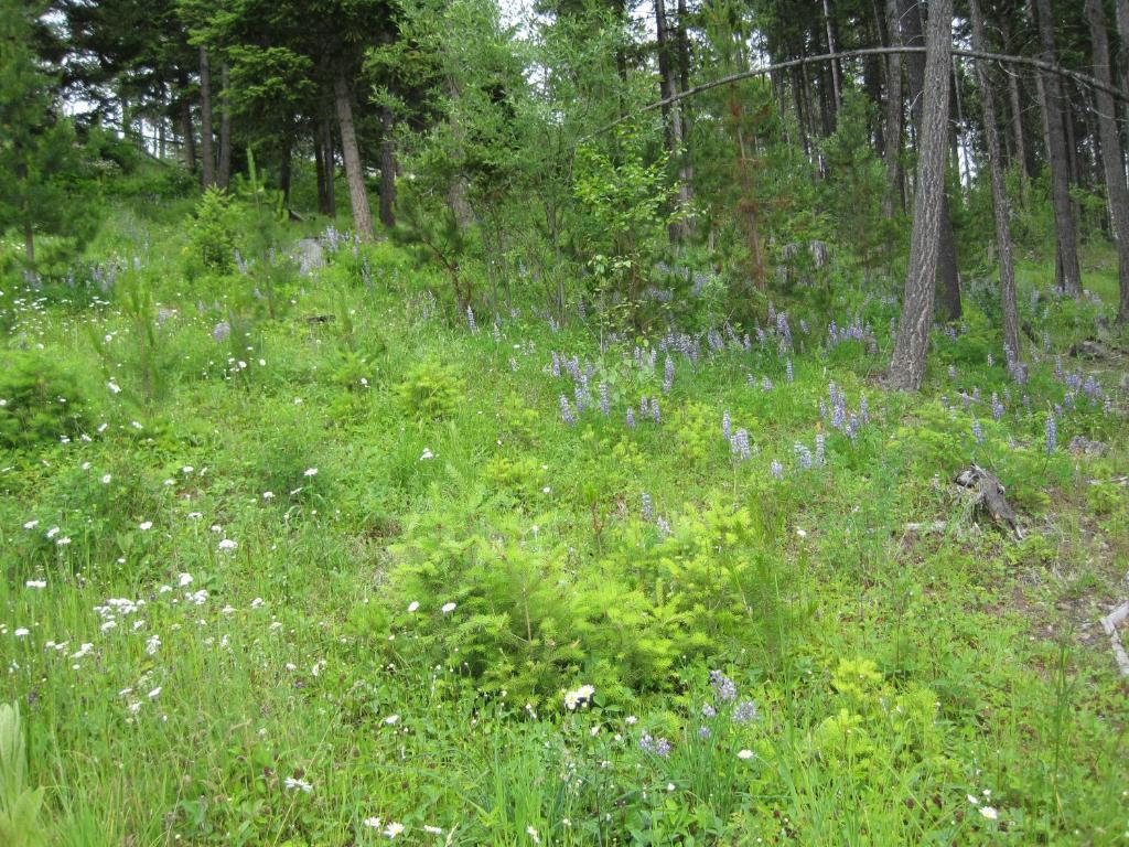 Wild Nature B&B Kelowna Luaran gambar
