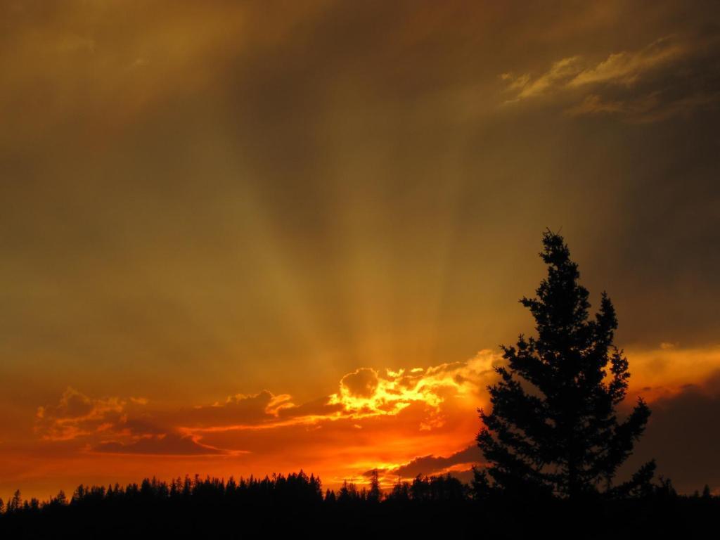 Wild Nature B&B Kelowna Luaran gambar