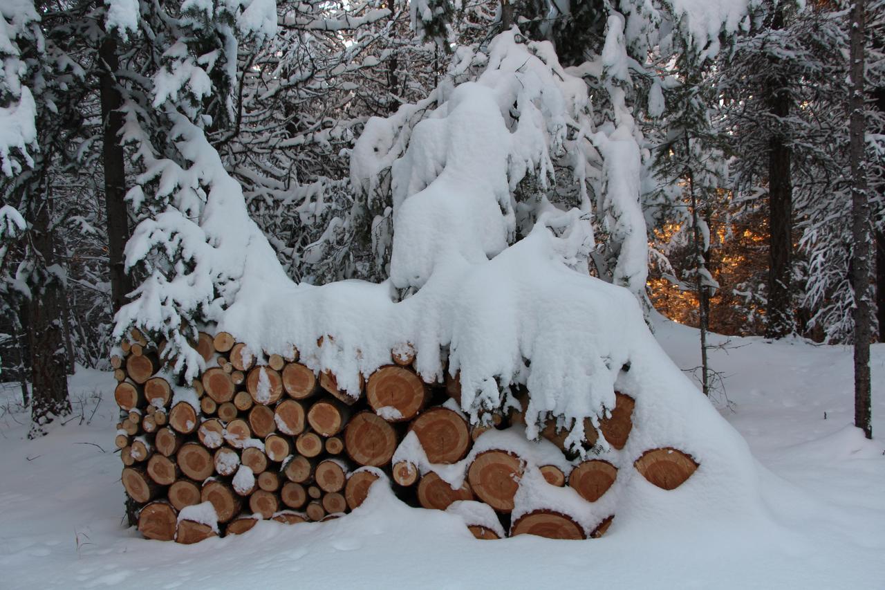 Wild Nature B&B Kelowna Luaran gambar
